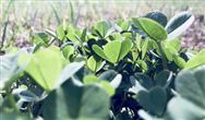 【大盤點(diǎn)】818近年來(lái)那些跨界進(jìn)入環(huán)保的“巨鱷